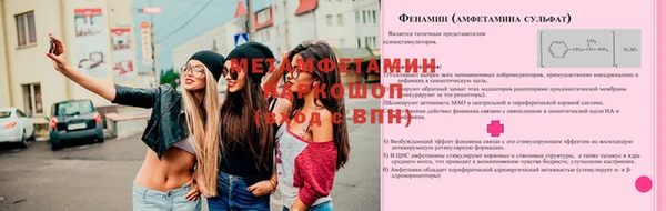 a pvp Володарск