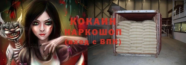 прущие грибы Верхний Тагил