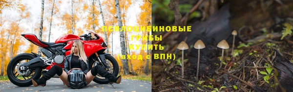ALPHA PVP Вязники