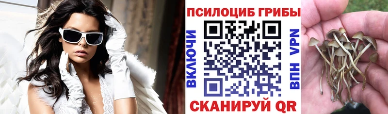Псилоцибиновые грибы прущие грибы  даркнет официальный сайт  Зима 